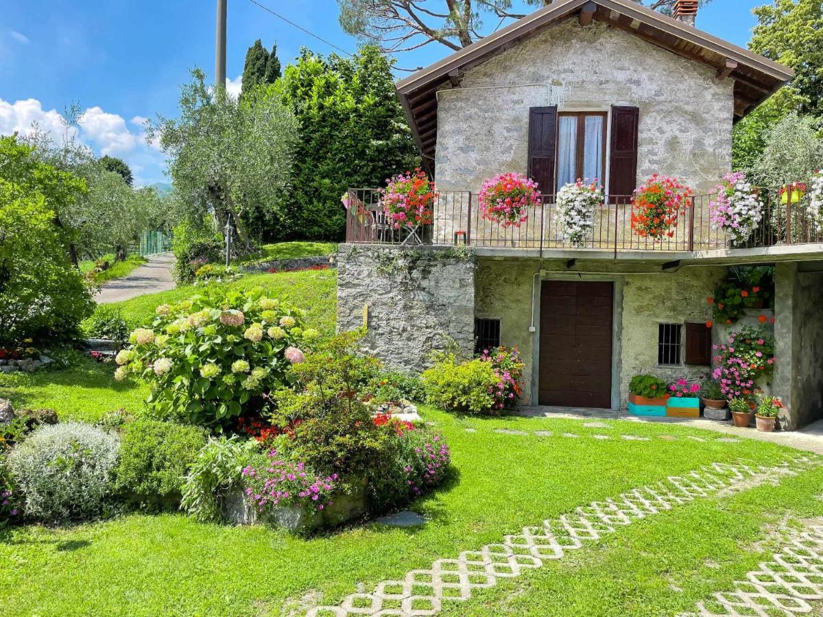 Breva Loft Tra Gli Ulivi Ed Il Lago Белладжо Екстер'єр фото