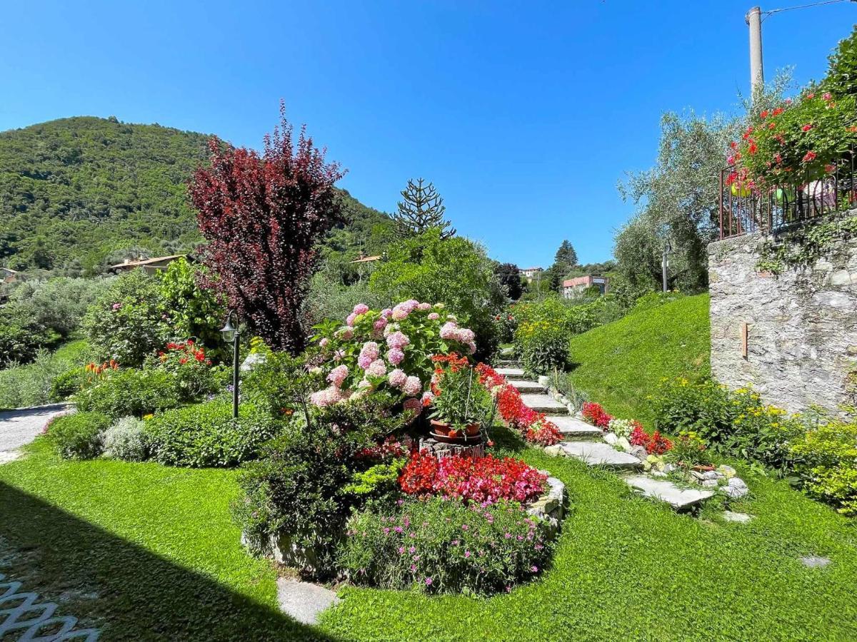 Breva Loft Tra Gli Ulivi Ed Il Lago Белладжо Екстер'єр фото